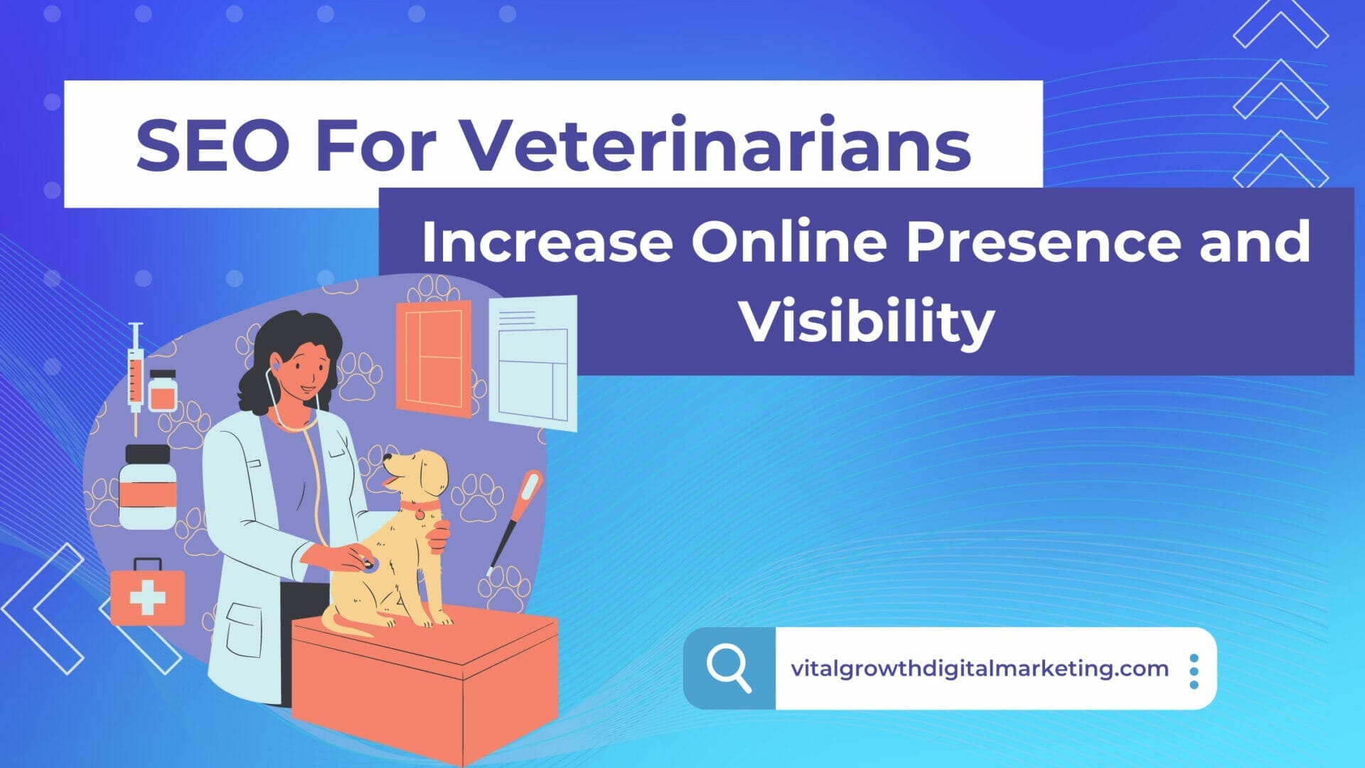 SEO For veterinarians